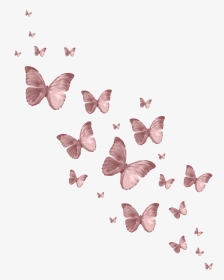 #butterfly #butterflys #pink #vintage #aesthetic #edit - Lycaena, HD Png Download, Transparent PNG