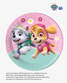 Paw Patrol Skye Everest Mint Tableware Party Decorations - Skye Y Everest Paw Patrol, HD Png Download, Transparent PNG