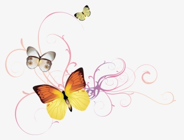 Butterfly Png - Butterfly Floral Png, Transparent Png, Transparent PNG