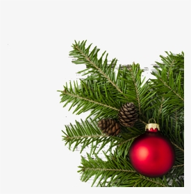 Transparent Christmas Tree Vector Png - Christmas Tree, Png Download, Transparent PNG