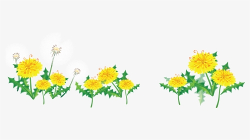 Res] Flower Border By Hanabell1 On Clipart Library - Transparent Flower Border, HD Png Download, Transparent PNG