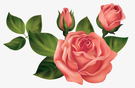 Transparent Roses Png Clipart Picture - Transparent Images Of Roses, Png Download, Transparent PNG