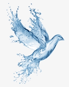 #bird #dove #water #splash - Holy Spirit Symbols Water, HD Png Download, Transparent PNG