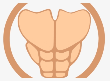 #1 On The Road To The Mighty Six Pack Nerdow - Six Pack Abs Cartoon, HD Png Download, Transparent PNG