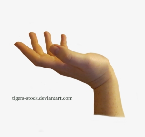 Hand Png Download Image - Statue Hand Png, Transparent Png, Transparent PNG