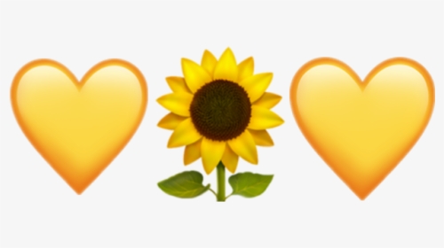 #sunflower #emoji #iphone - Sunflower Emoji Iphone Png, Transparent Png, Transparent PNG