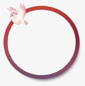 #mq #pink #bird #circle #frame #frames #border #borders - Circle, HD Png Download, Transparent PNG