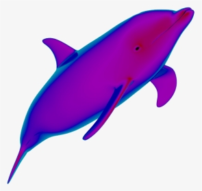 Neon Dolphins Are Cute ✧ - Transparent Background Dolphins Animated Gif, HD Png Download, Transparent PNG