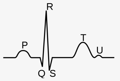 Heartbeat Monitor Png, Transparent Png, Transparent PNG