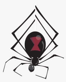 Ekg Clipart Border - Tangle-web Spider, HD Png Download, Transparent PNG