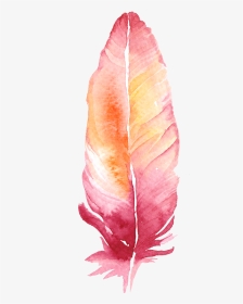 #freetoedit #ftesticker #feather #boho #watercolor - Colorful Feather Transparent Background, HD Png Download, Transparent PNG