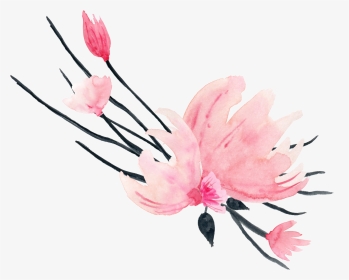 #акварель #акварельныецветы #waterflower #watercolor, HD Png Download, Transparent PNG
