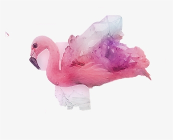 #flamingos - Abstract - Duck, HD Png Download, Transparent PNG
