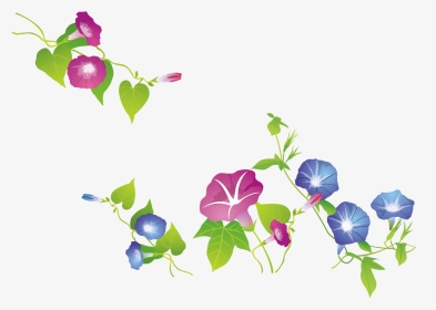 Clip Library Download Ipomoea Nil Exquisite Trumpet - 牵 牛 花 矢量 图, HD Png Download, Transparent PNG