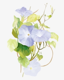 Flowering Vine Prints, HD Png Download, Transparent PNG