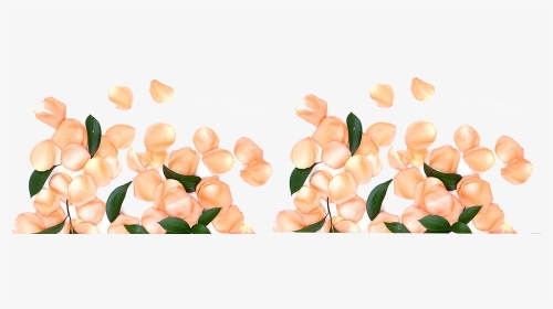 Sweet Peas, HD Png Download, Transparent PNG
