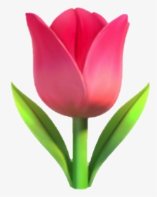 #emoji #fleur #flower #flora #rose #tulip - Tulip Emoji, HD Png Download, Transparent PNG