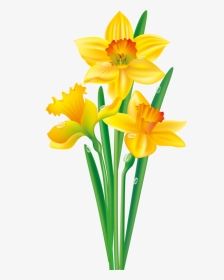 Flower Png Vector Clipart - Daffodil Flower Clip Art, Transparent Png, Transparent PNG