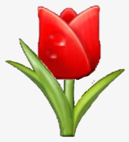 #rose #samsungemoji #flowers #flower #🌷sticker #emoji - 🌷 Emoji, HD Png Download, Transparent PNG