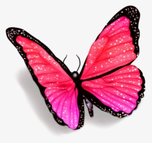 #butterfly #butterflies #petsandanimals #fly #overlay - Butterfly With Shadow Png, Transparent Png, Transparent PNG