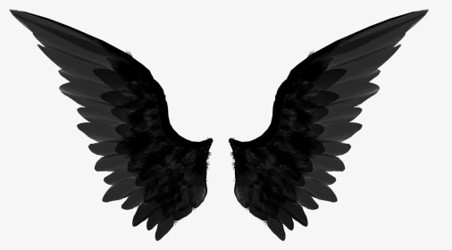Wings Png Album On - Transparent Background Wings Png, Png Download, Transparent PNG
