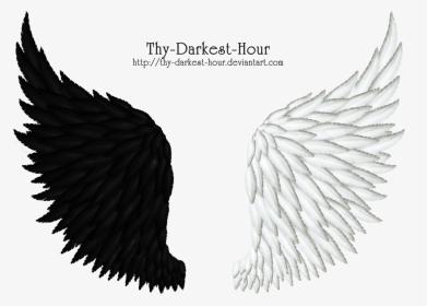 Black Feather Wing Png - Black And White Angel Wings Png, Transparent Png, Transparent PNG