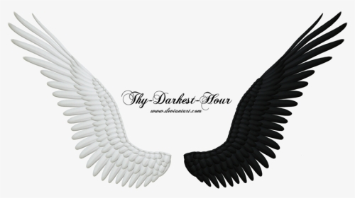 More Like Good And Evil Angel Wings Png 05 By Thy - Black And White Wings Png, Transparent Png, Transparent PNG