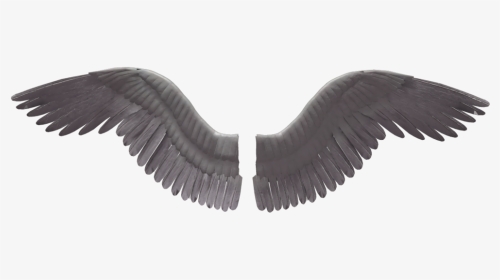 Angel Wings Stock Png - Angel X Men Drawing, Transparent Png, Transparent PNG