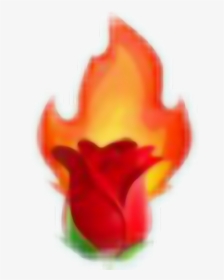 #rose Fire Tumblr Aesthetic Aestheticred Red Emojis - Transparent Aesthetic Red Emojis, HD Png Download, Transparent PNG