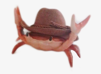 #crab #california #summer #meme #memes #dank #crabs - Crab With Cowboy Hat, HD Png Download, Transparent PNG