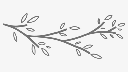 White Branch Png - Black And White Branch Clipart, Transparent Png, Transparent PNG