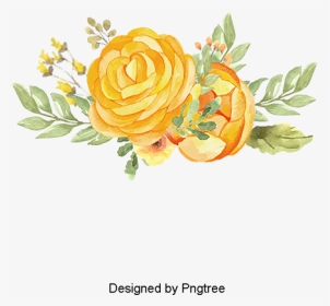 Vector Daisy Vector Daisy - Yellow Watercolor Flower Transparent Background, HD Png Download, Transparent PNG