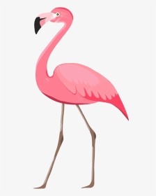 Flamingo Png Pic Background - Flamingo Imagenes, Transparent Png, Transparent PNG