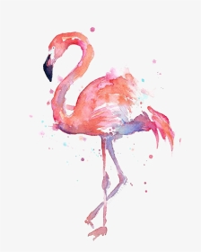 Flamingo Transparent High Resolution - Watercolor Flamingo, HD Png Download, Transparent PNG