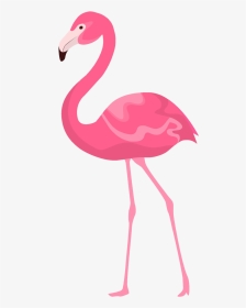Flamingo Clipart Quotes - Flamencos Rosados En Una Pata, HD Png Download, Transparent PNG