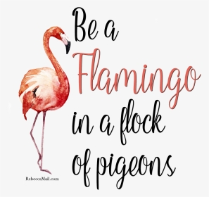 Flamingo Clipart Quotes - Flamingo In A Flock Of Pigeons Sign, HD Png Download, Transparent PNG