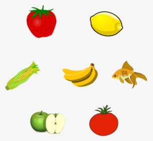 Drawing Vegetable Easy - Odd One Out Fruits And Vegetables, HD Png Download, Transparent PNG