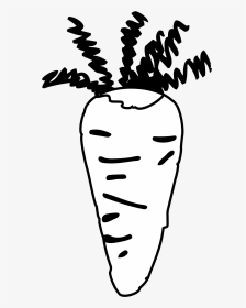 Carrot Black And White Cliparts - Carrot Black And White Clip, HD Png Download, Transparent PNG