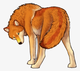 Sexy Kate - Red Fox, HD Png Download, Transparent PNG