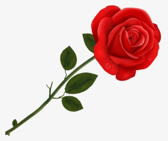 #bloom #frame #flower #border #flowers #white #bouquet - Transparent Red Roses Png, Png Download, Transparent PNG