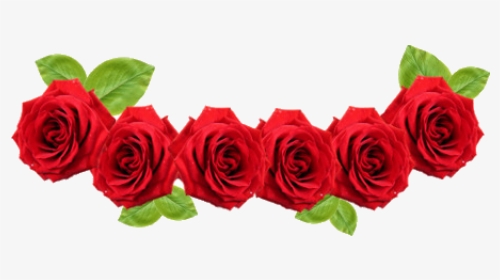 Flower Crown Red Clipart Images Gallery For Free Transparent - Red Rose Png Transparent, Png Download, Transparent PNG