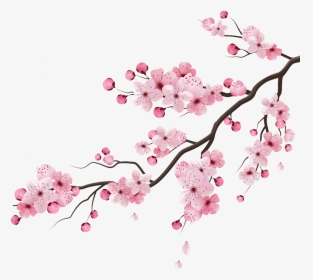 Cherry Blossom Gif Transparent, HD Png Download, Transparent PNG