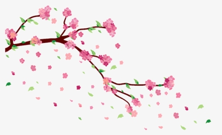 Cherry Blossom Png Falling By Ayshamostafiz On Deviantart - Cherry Blossom Aesthetic Transparent, Png Download, Transparent PNG