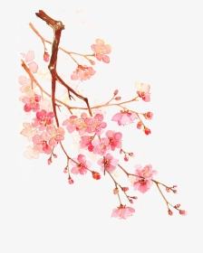 Cherry Blossom Png Cherry Blossom Png - Cherry Blossoms Png, Transparent Png, Transparent PNG