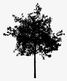 Bush Png Black And White-plus - Small Tree Silhouette Png, Transparent Png, Transparent PNG