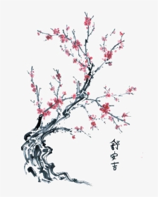Twig Drawing Cherry Tree Transparent Png Clipart Free - Drawing Japanese Cherry Blossom Branch, Png Download, Transparent PNG