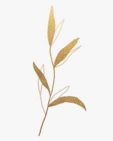Gold Leaf Split Background Old Rectory Placement - Needlework, HD Png Download, Transparent PNG