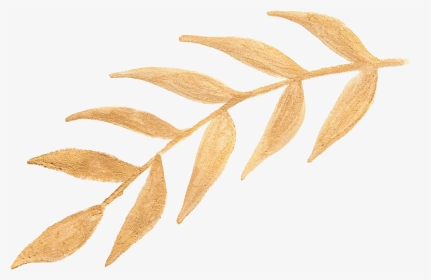 Large Gold Leaf Stem - Russian Olive, HD Png Download, Transparent PNG