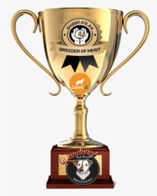 Prize Cups, HD Png Download, Transparent PNG