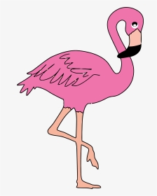 Pink Flamingo Clip Art - Flamingo Ks2, HD Png Download, Transparent PNG